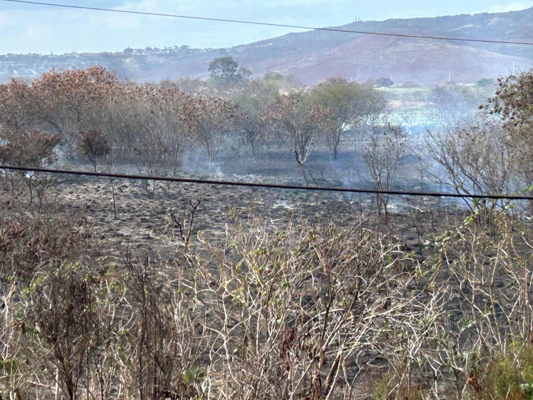 Arson suspect charged for setting wildfire in West Oahu