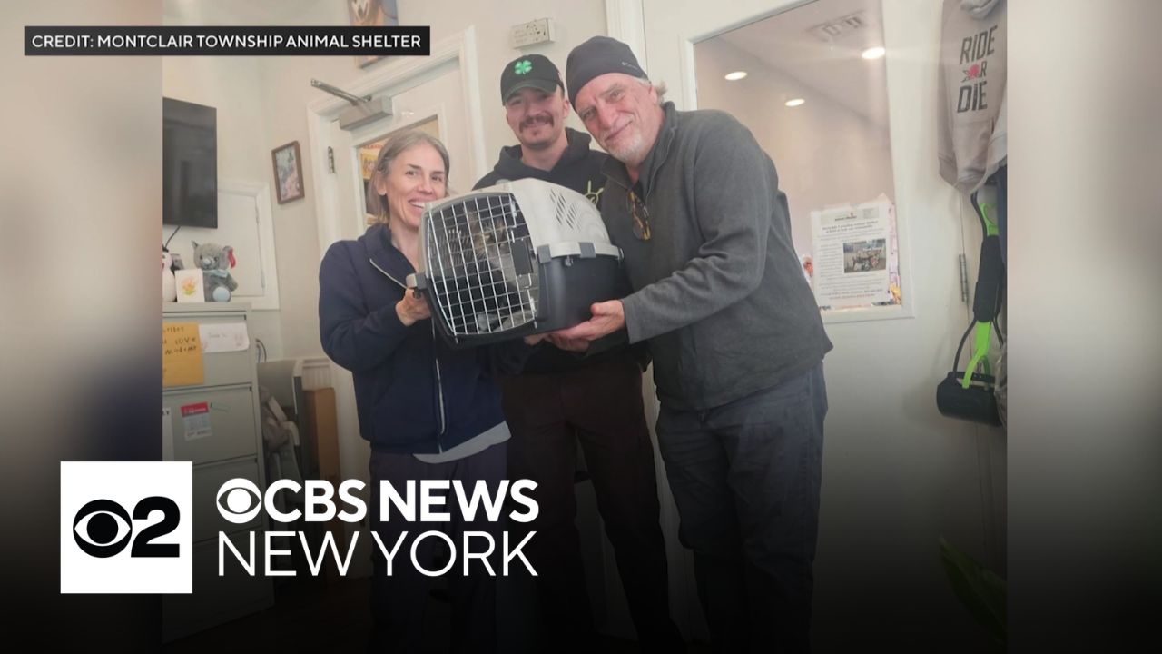New Jersey family reunited with cat that went missing 10 years ago