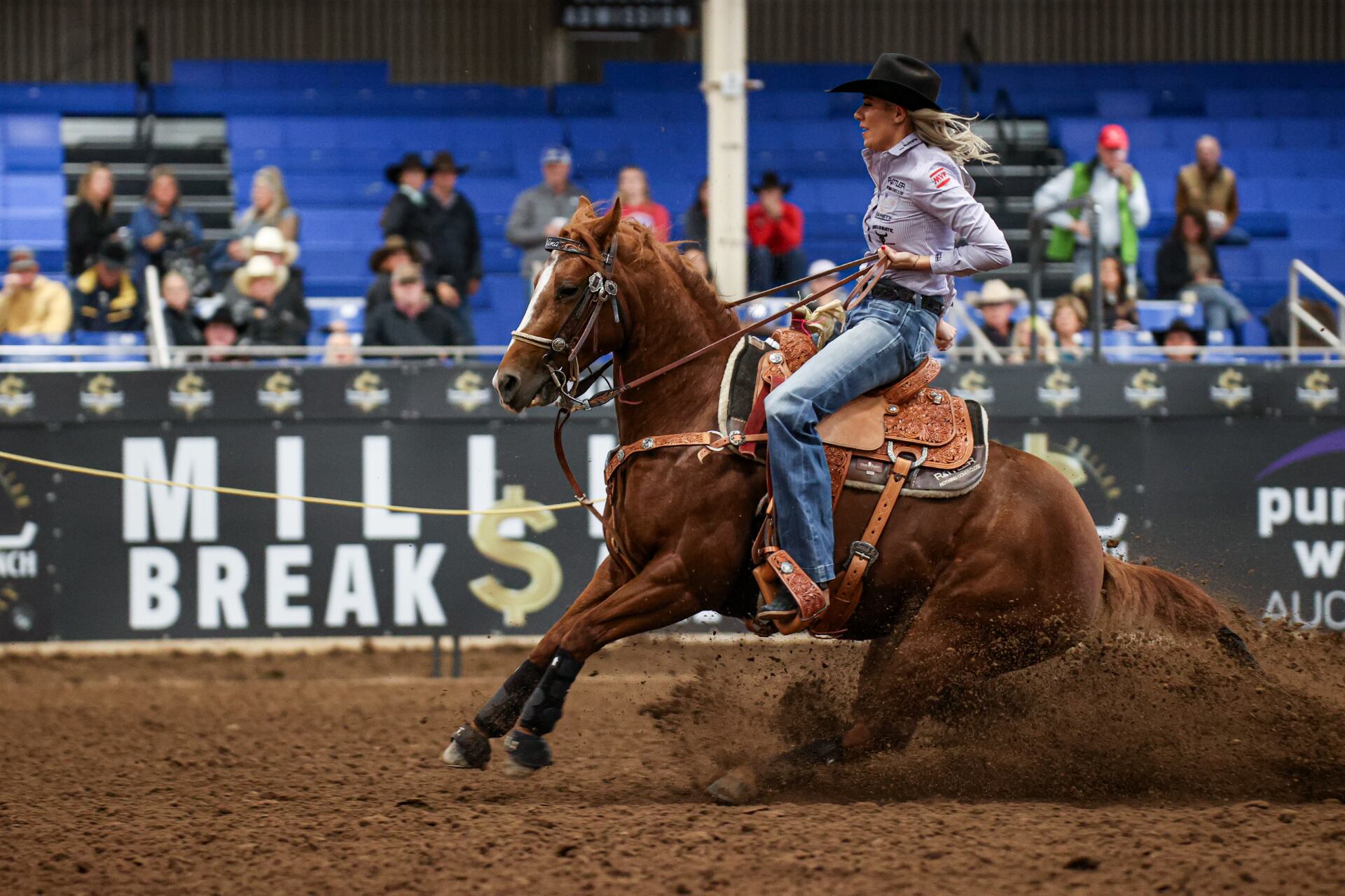 Horse virus outbreak forces Scottsdale roping event to be postponed