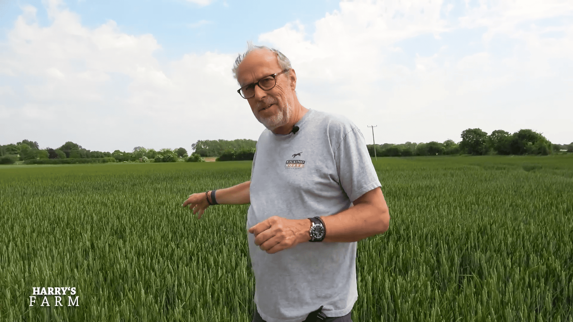 Drought Hits Hard Is This the End for OSR?