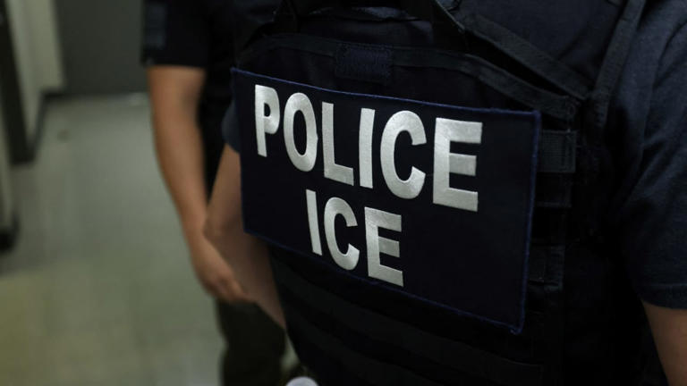 Teen Pulled Over at Gunpoint by Off-Duty ICE Agent Sparks Safety ...