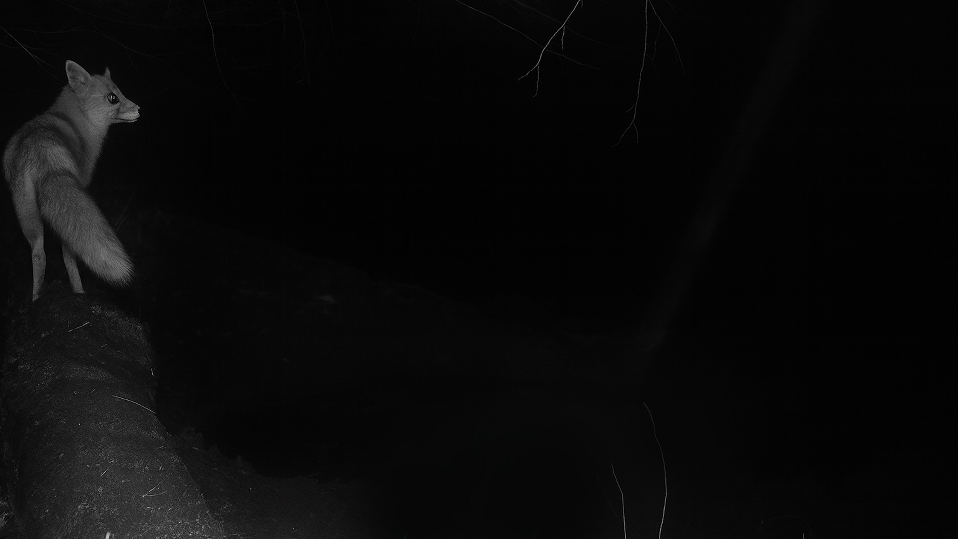 mit-meiner-kamera-am-fluss-aufgenommen