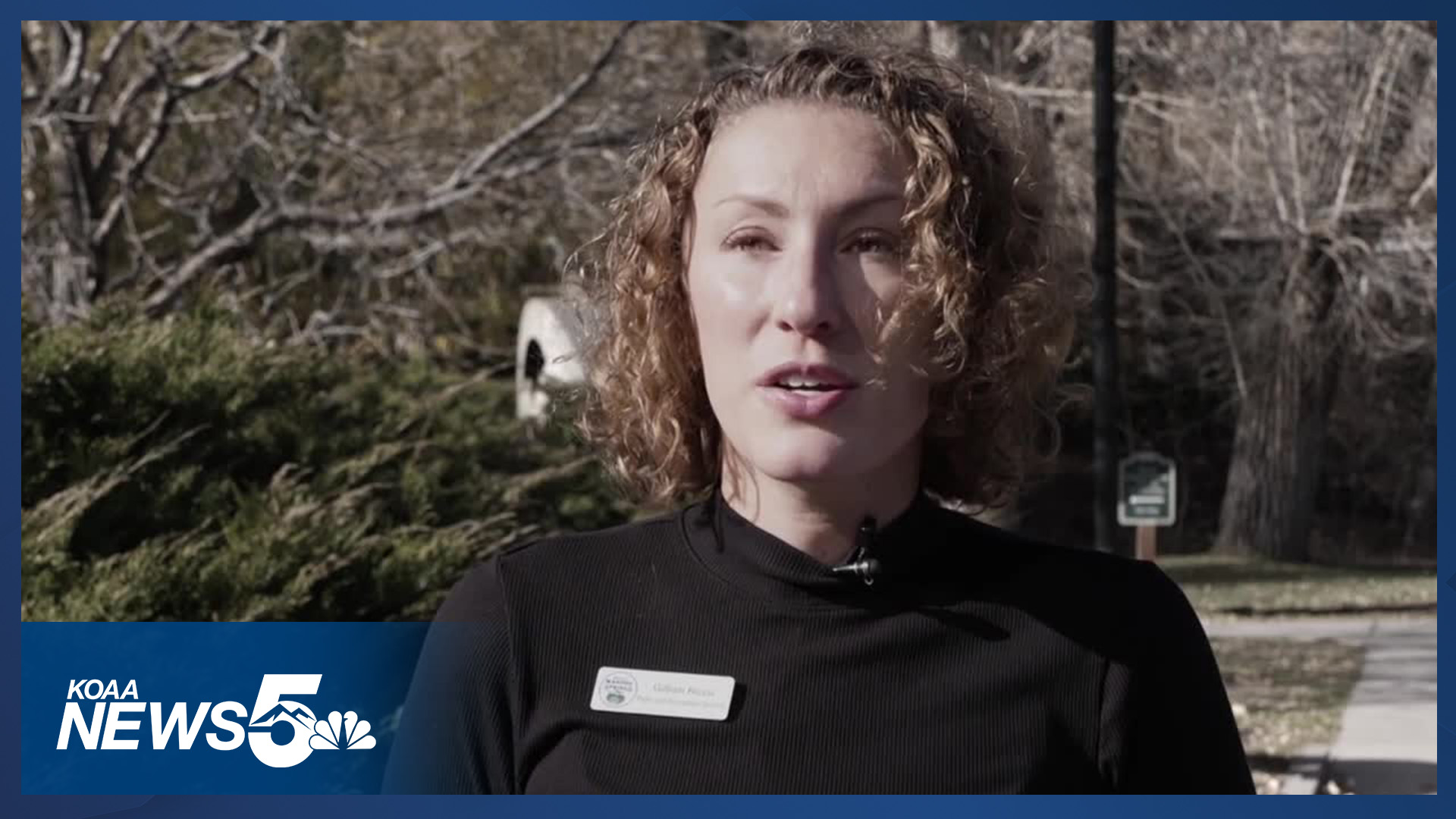 Manitou Springs Tree Project Wins Award - Here's What the Data Reveals ...