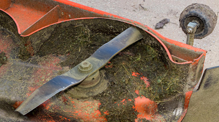 What It Means When Your Riding Mower Is Vibrating Excessively And How ...