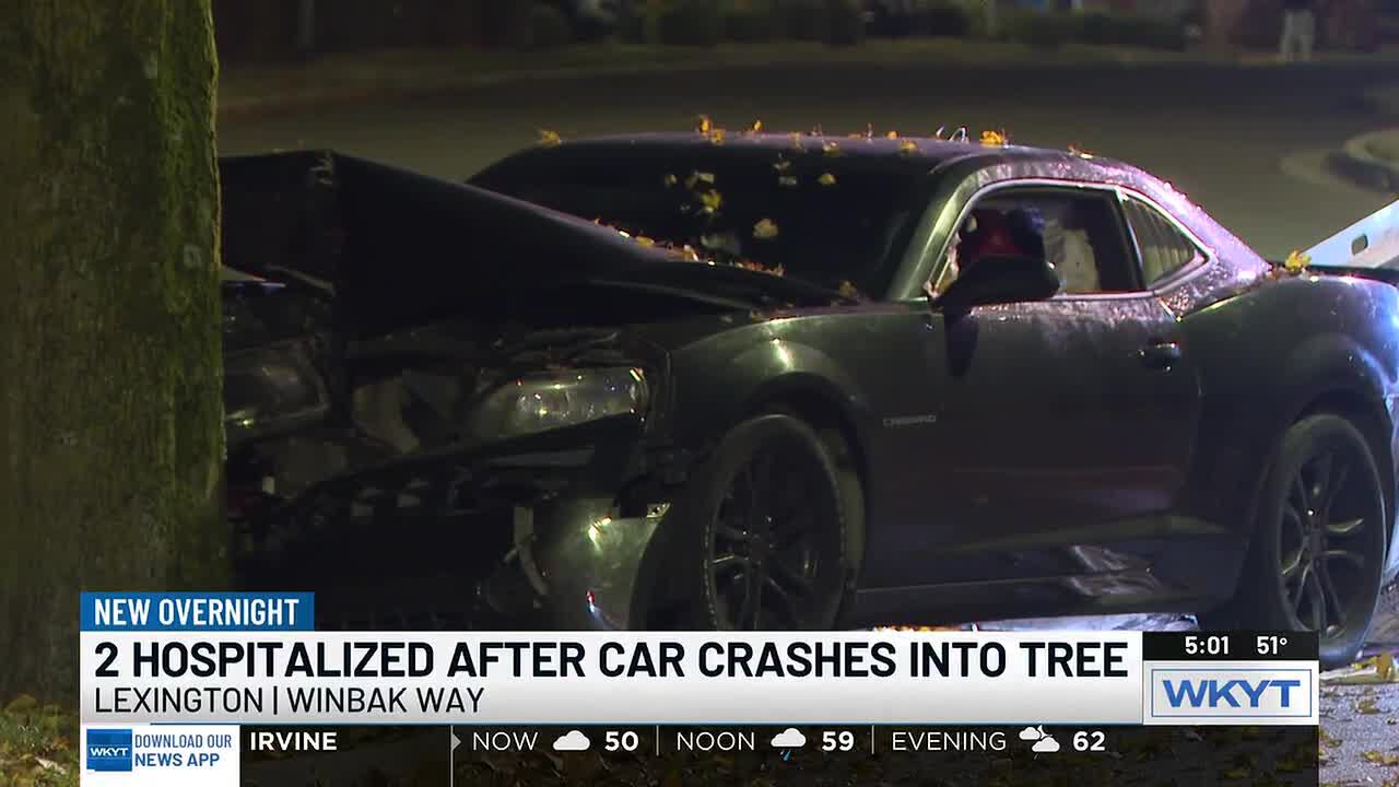 Two hurt after car crashes into tree