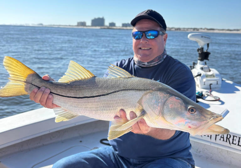 U-bet there's a U-Pick Blue Crab Farm in Oak Hill; for food or bait
