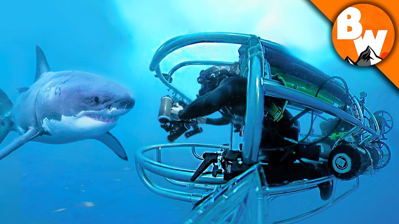 Shark Cage Sub Dive With Great Whites