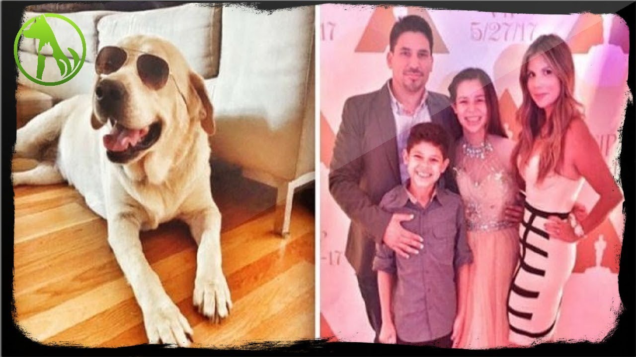 Family Reunited With Missing Dog After a Year — The Surprise Is Shocking