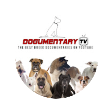 Dogumentary TV