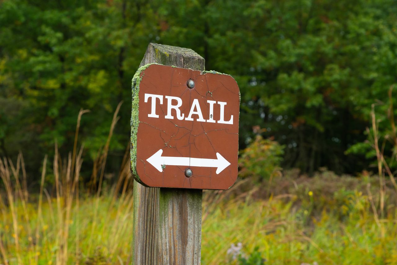 Trail sign with arrows pointing left and right surrounded by grass and trees