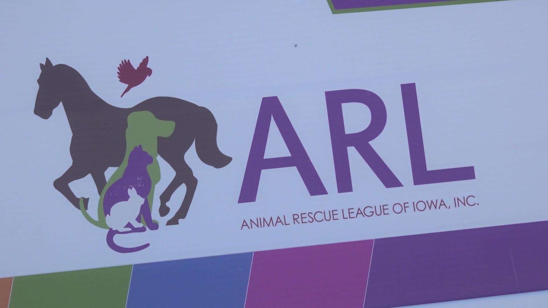 ARL rescues 37 cats and dogs from home in southern Iowa