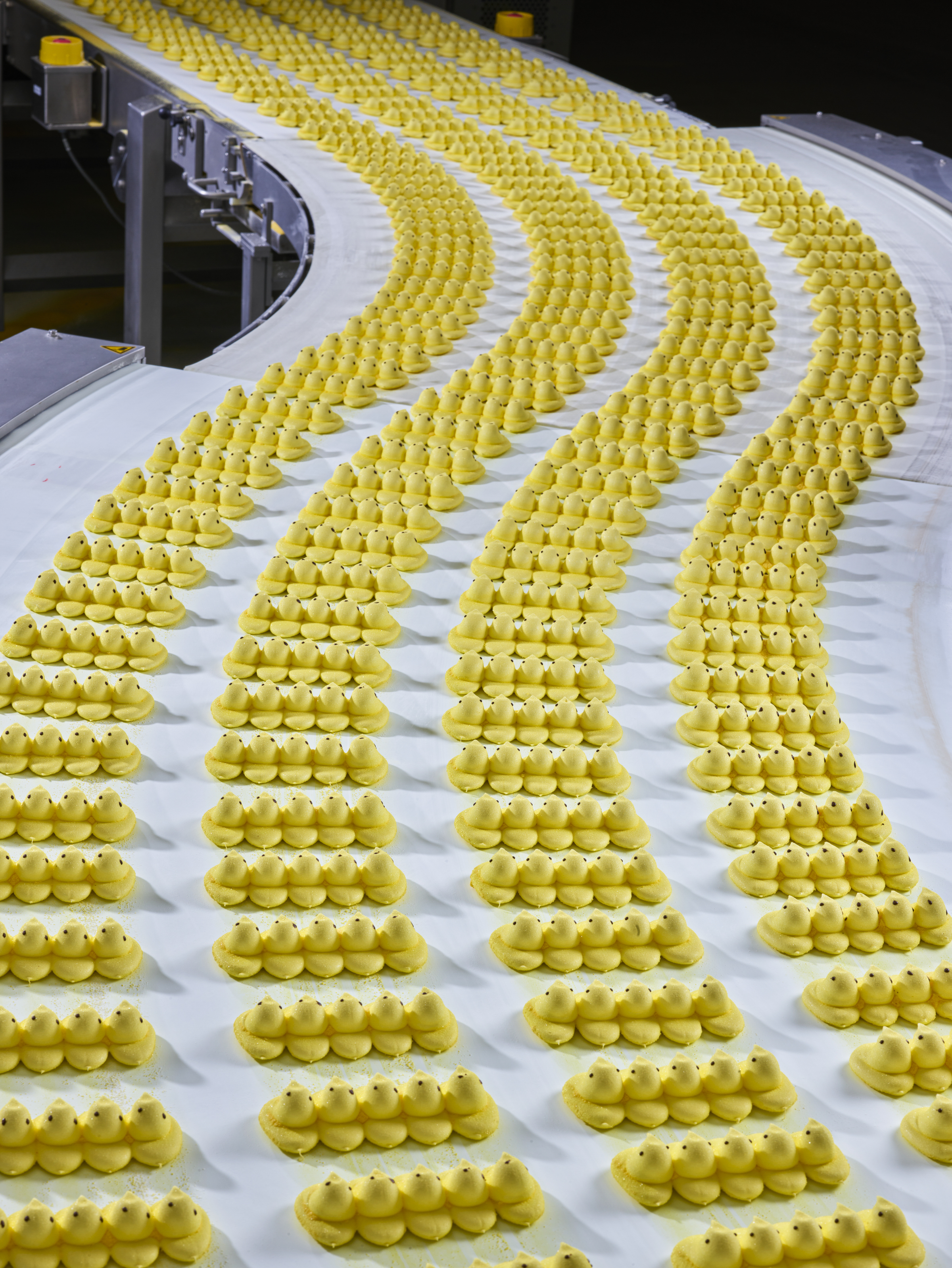 Peeps Marshmallow Chicks cooling on a conveyor belt before packaging at Just Born Quality Confections (Bethlehem, Pennsylvania), 2023