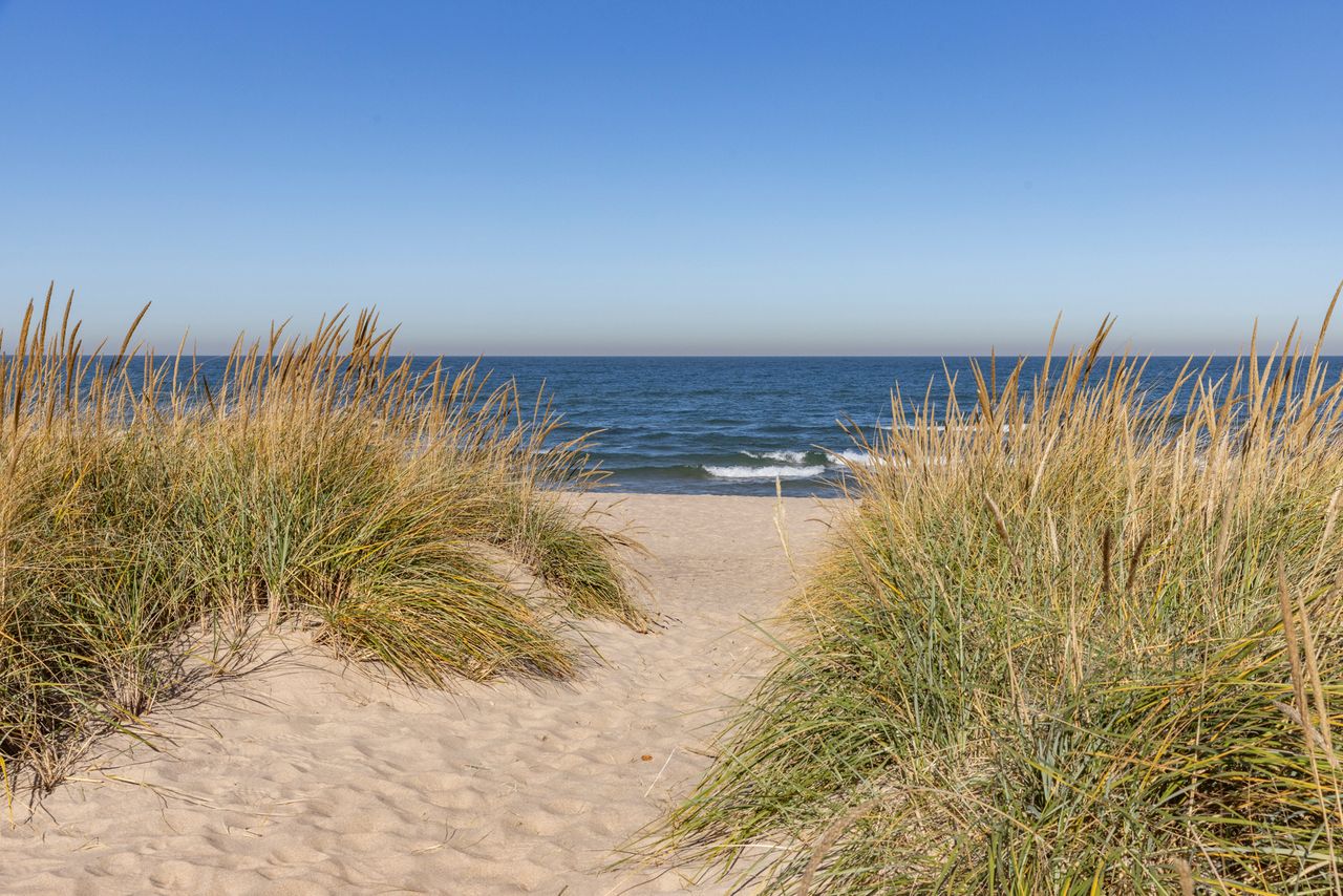 Sandy path through grass leading to a beach with the sea visible