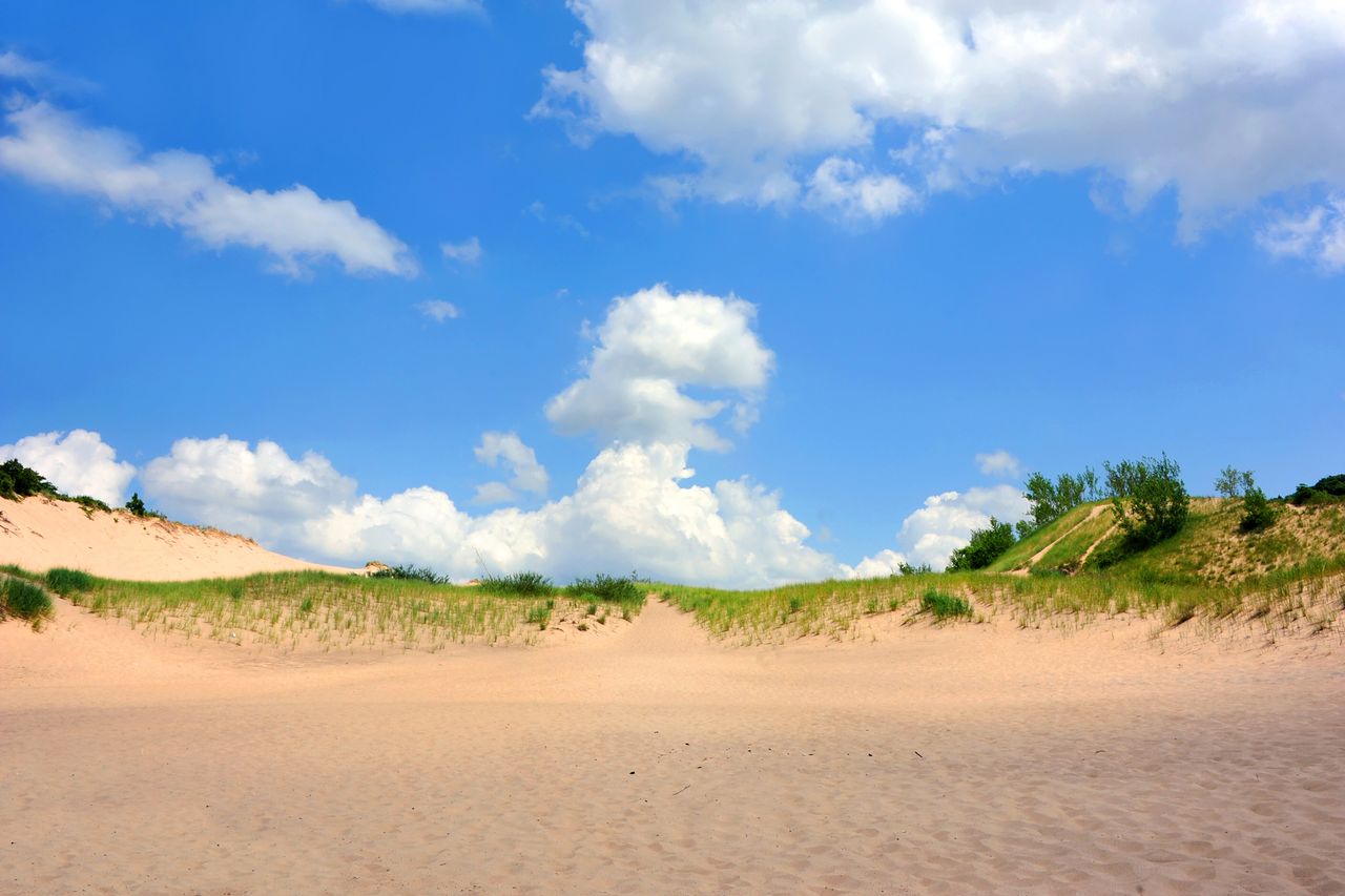 Open sand dunes with grass and a blue sky with scattered clouds