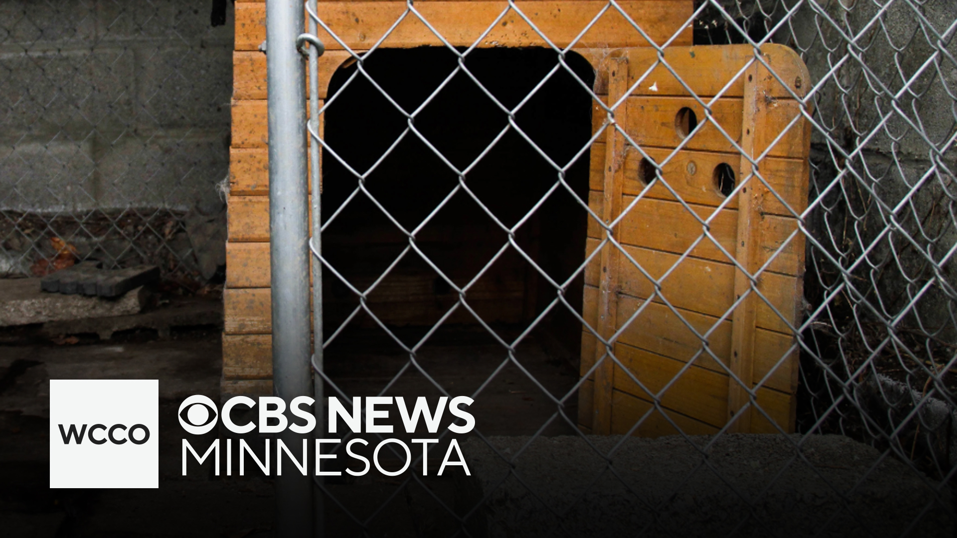 Dogs found dead on pet rescue property in southern Minnesota