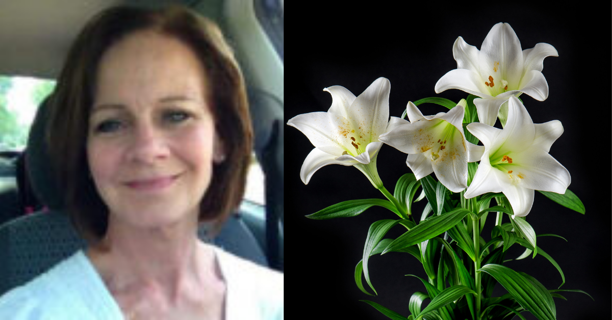 Kathleen Stephenson, 69, of Lake County Obituary
