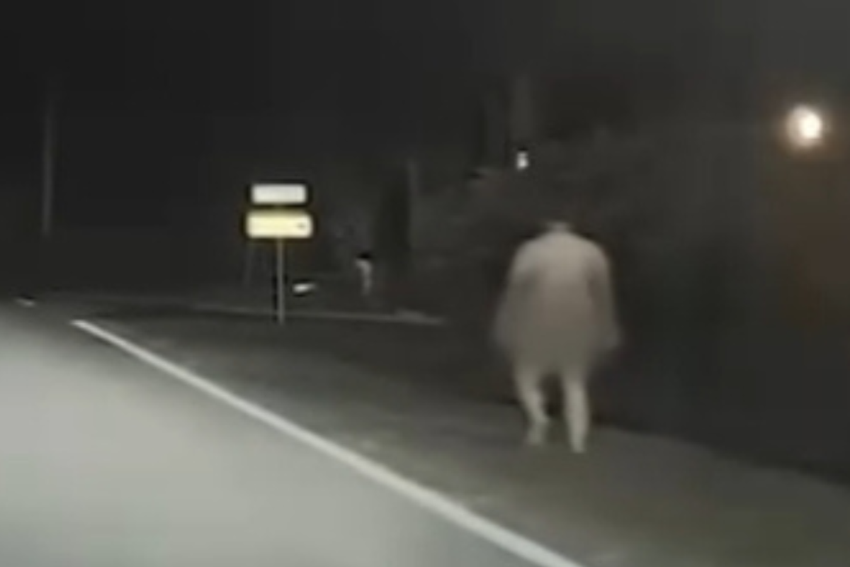 Naked man in cold weather claims