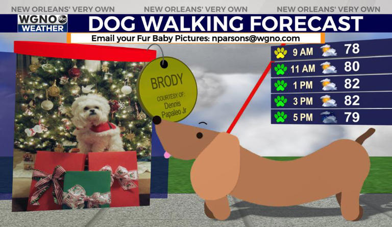 Friday afternoon and early evening to see partly cloudy skies, few storms