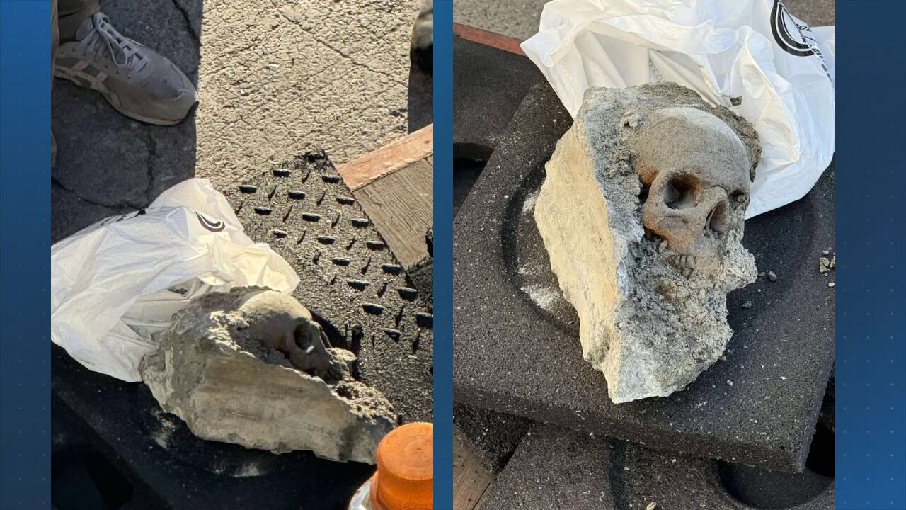 Mass. State Police investigating after alleged human skull found
