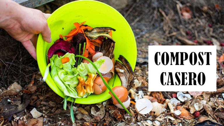 Compost casero fácil: guía para principiantes para reciclar desechos y ...