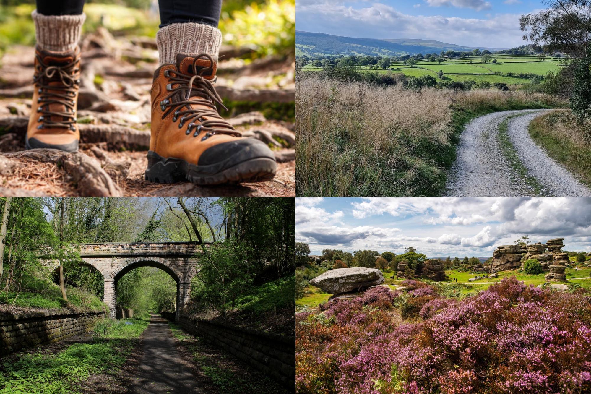 IN PICTURES: 15 picturesque winter walks in and around Harrogate you ...