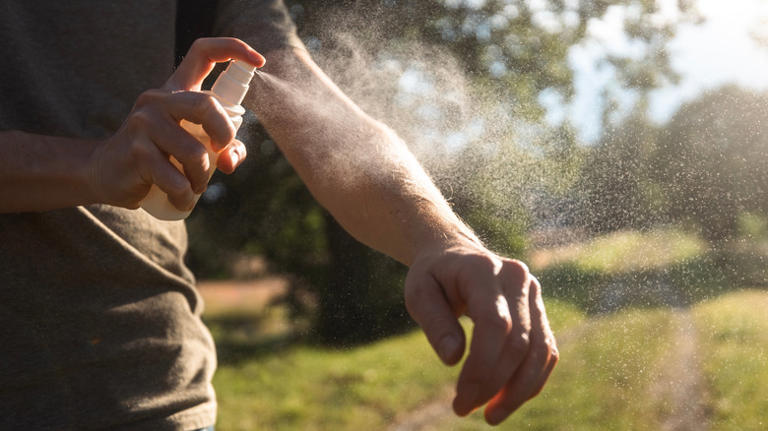 The Invasive Tick You Need To Watch Out For In Your Own Yard