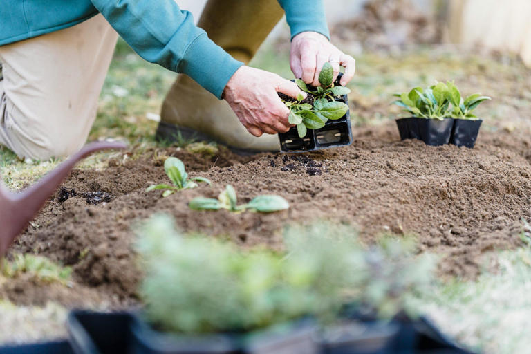 Compost casero fácil: guía para principiantes para reciclar desechos y ...