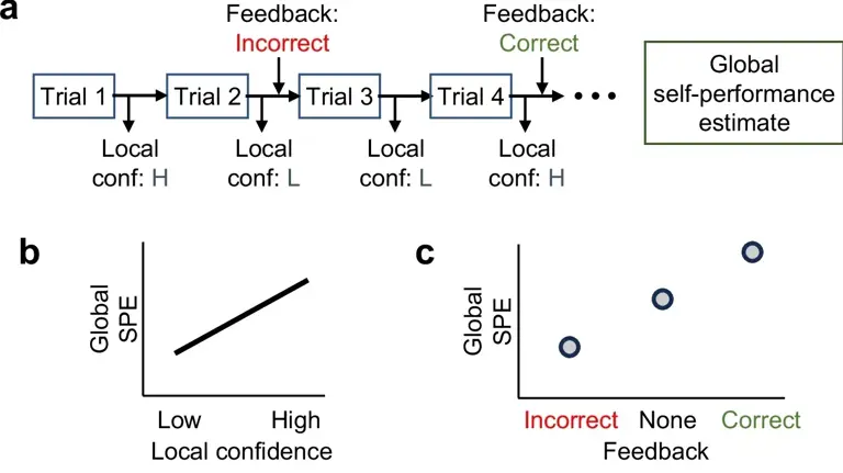 New research explains the root cause of persistent self doubt