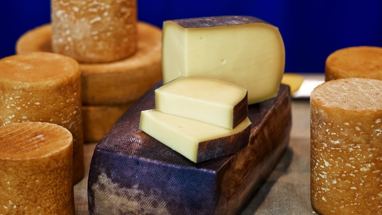 Here's The Difference Between The 4 Types Of Cheese Rinds