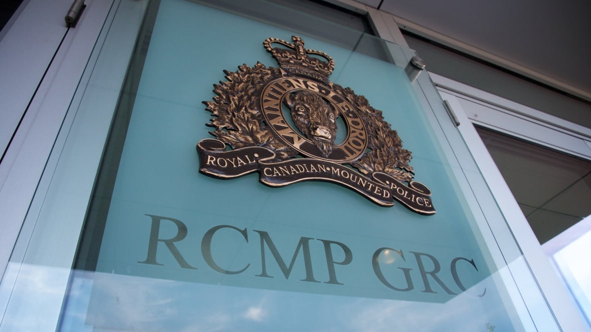 Winnipeg police unit helps recover missing man's body from Lake of the ...