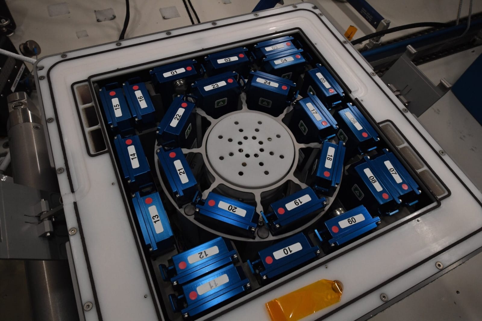 Worm experiments expose hidden health risks of deep space travel