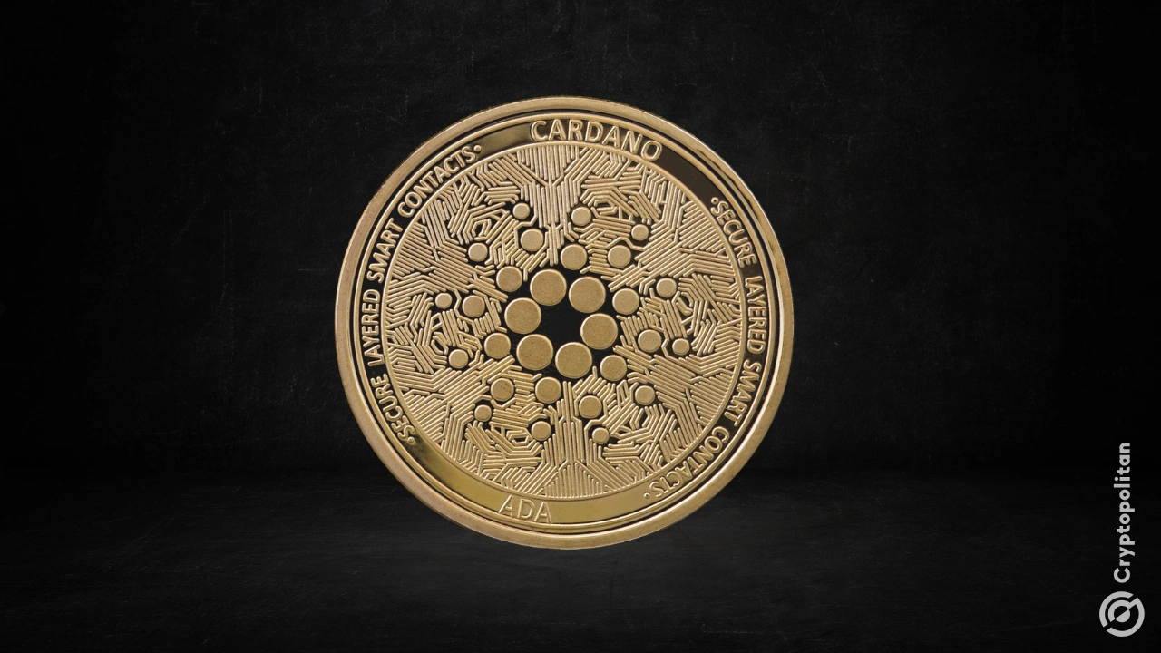 Cardano Foundation's CTO to step down this August
