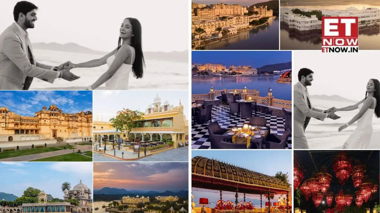 Who are Netra Mantena and Vamsi Gadiraju? The billionaire heiress and ...
