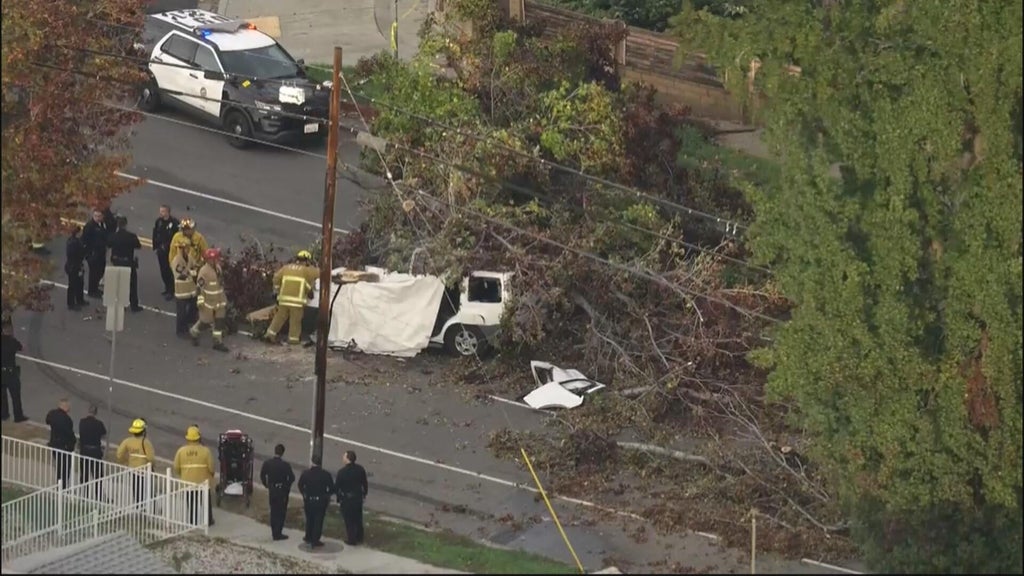 1 driver killed after large tree falls onto car in Winnetka