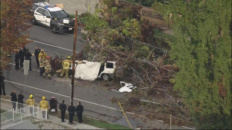 1 driver killed after large tree falls onto car in Winnetka