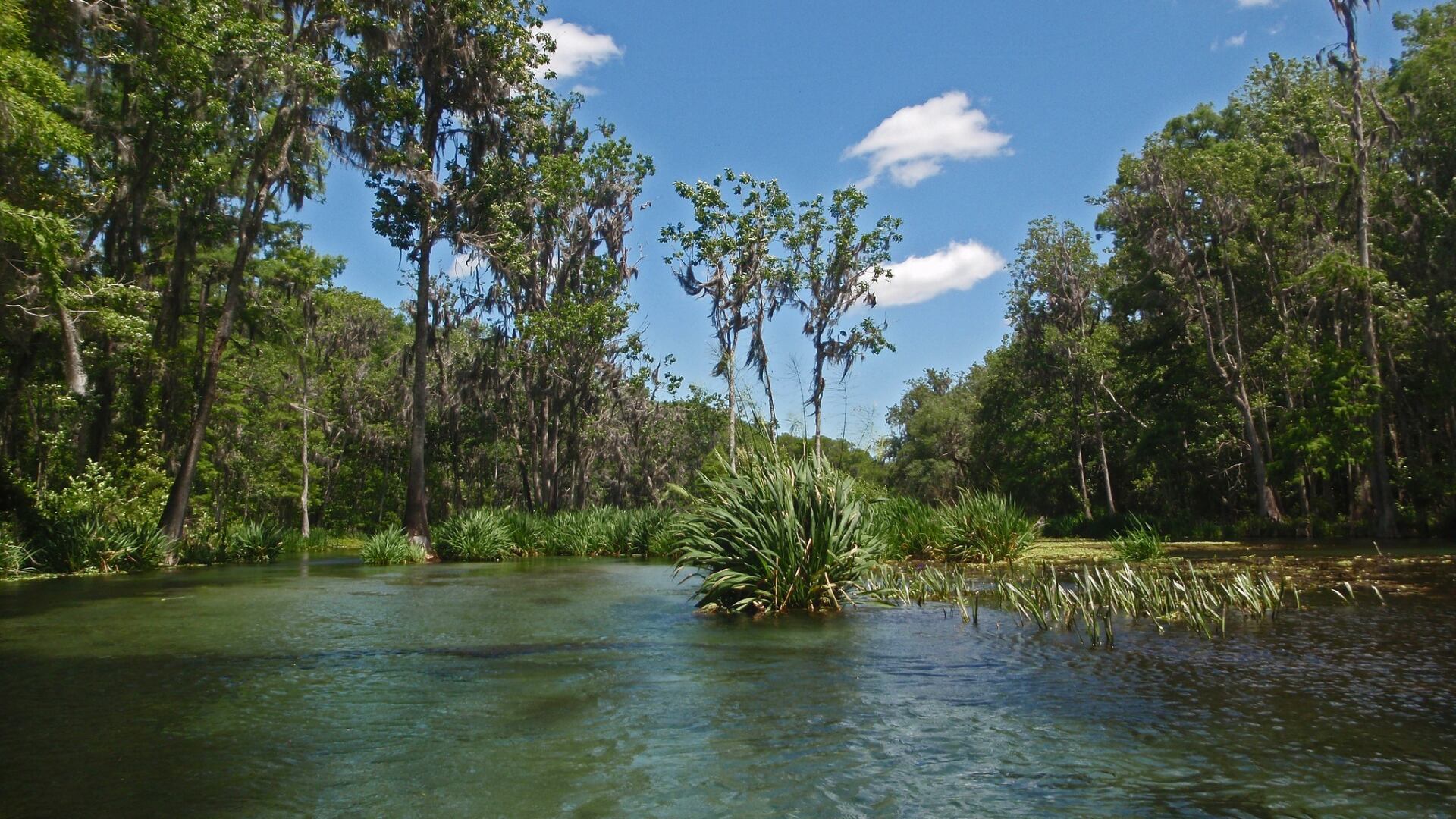 DeSantis announces $100 million awarded to Florida water resource ...