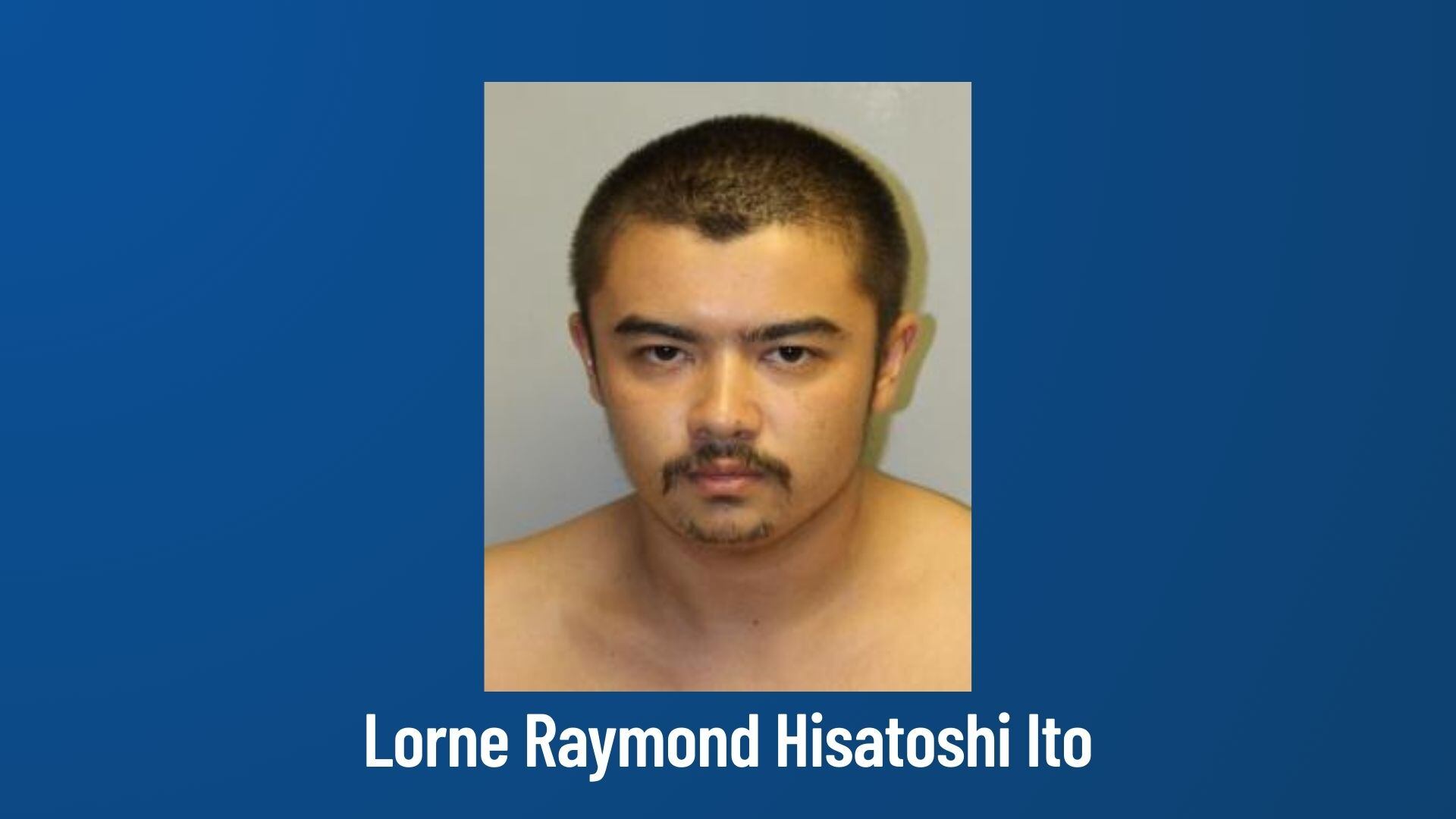 Man charged with multiple offenses following road rage incident in Hilo