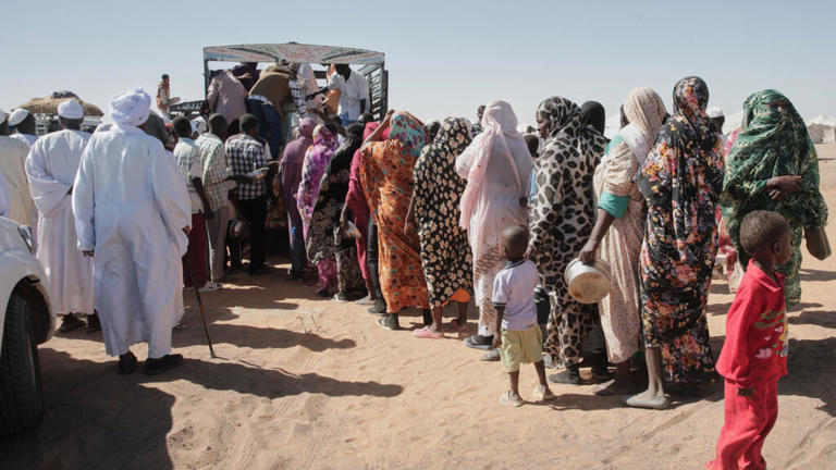 Des familles soudanaises déplacées d'El-Fasher font la queue pour recevoir une aide alimentaire au camp d'El-Afadh, nouvellement établi à Al Dabbah, dans l'État du Nord du Soudan, le dimanche 16 novembre 2025.