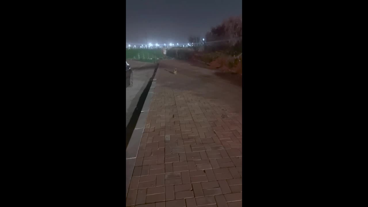 Fire hydrant mistaken for puppy in Shandong, China