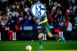 Verliert Schalke seinen neuen Star? Jetzt meldet sich Muslic zu Wort