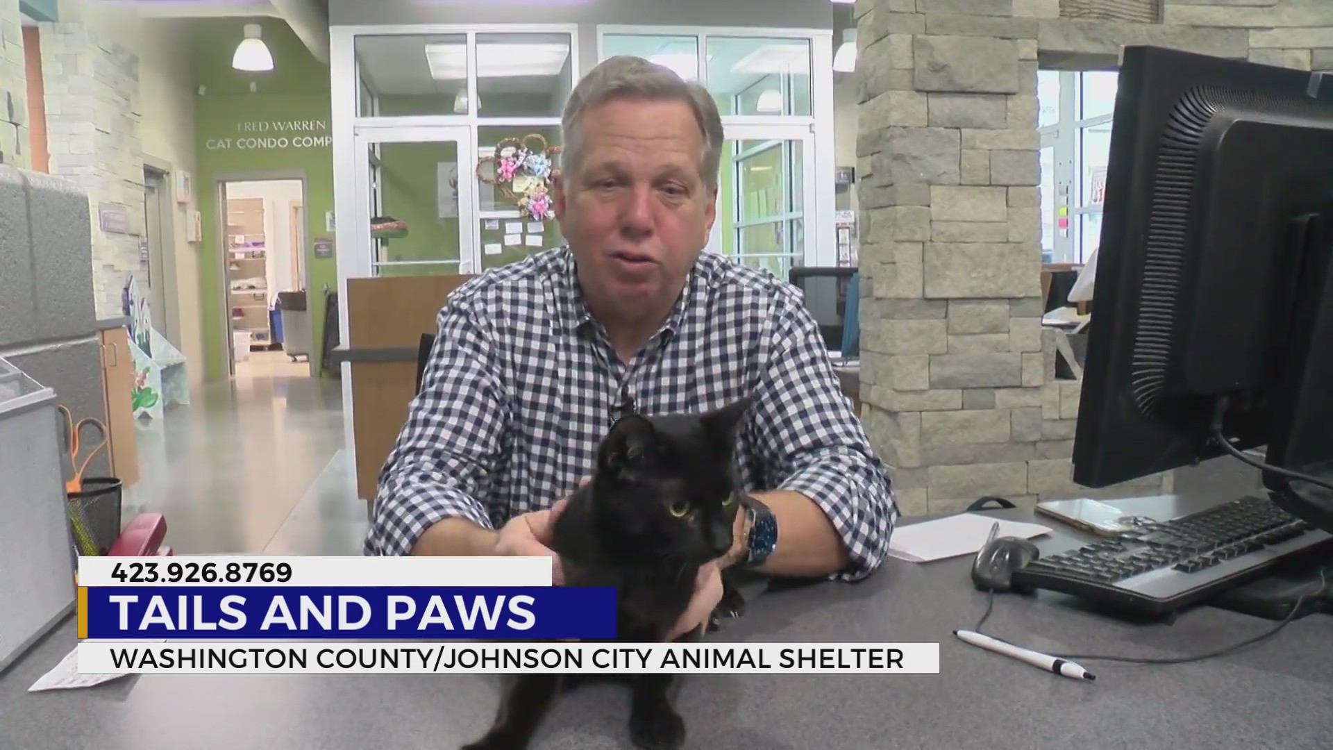 Time to adopt these friendly pets