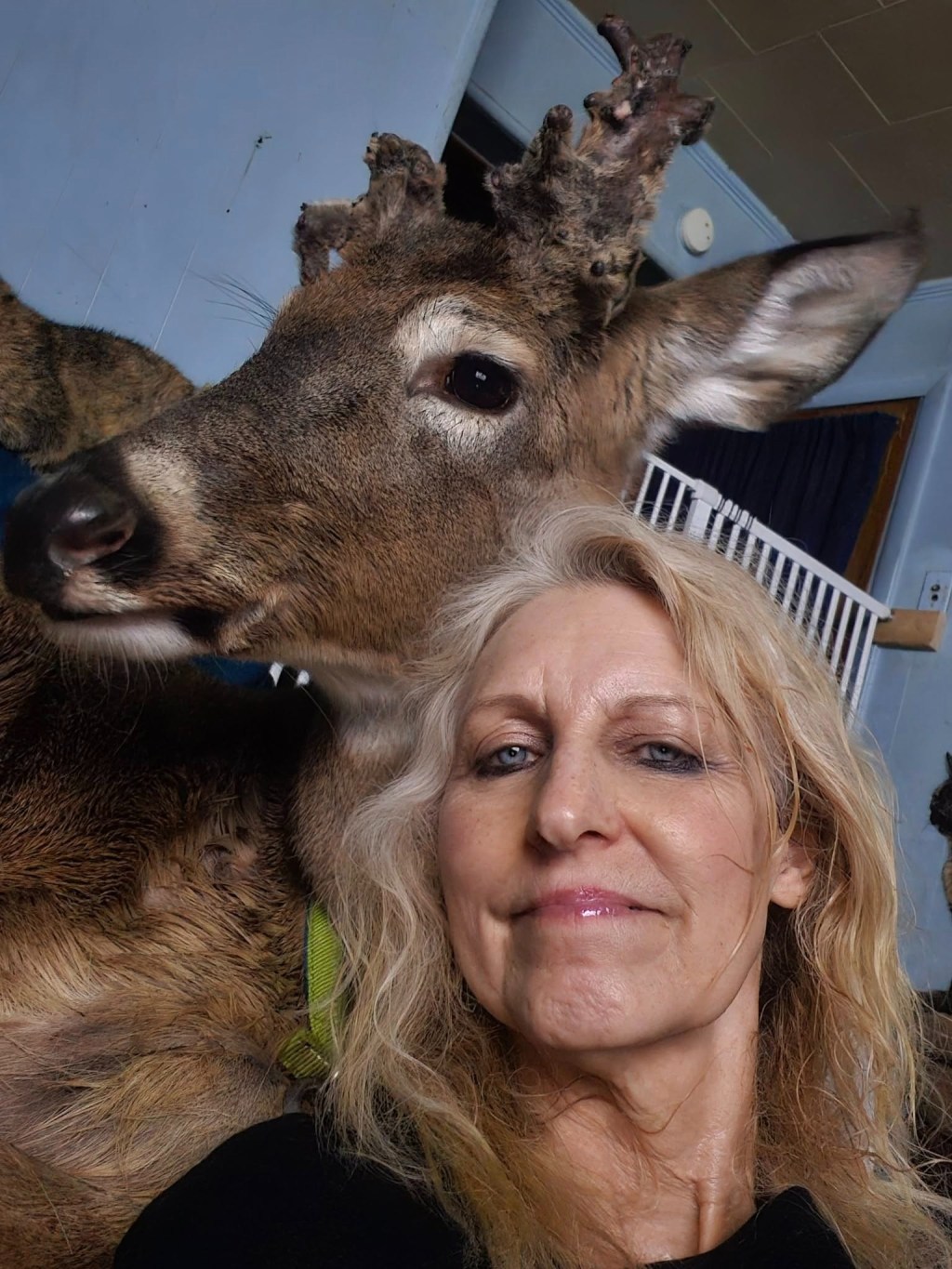 Grandma mauled to death by deer she rescued — raging controversy