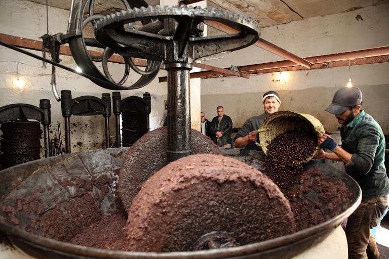 huile d’olive : le recours à l'extraction artisanale en hausse