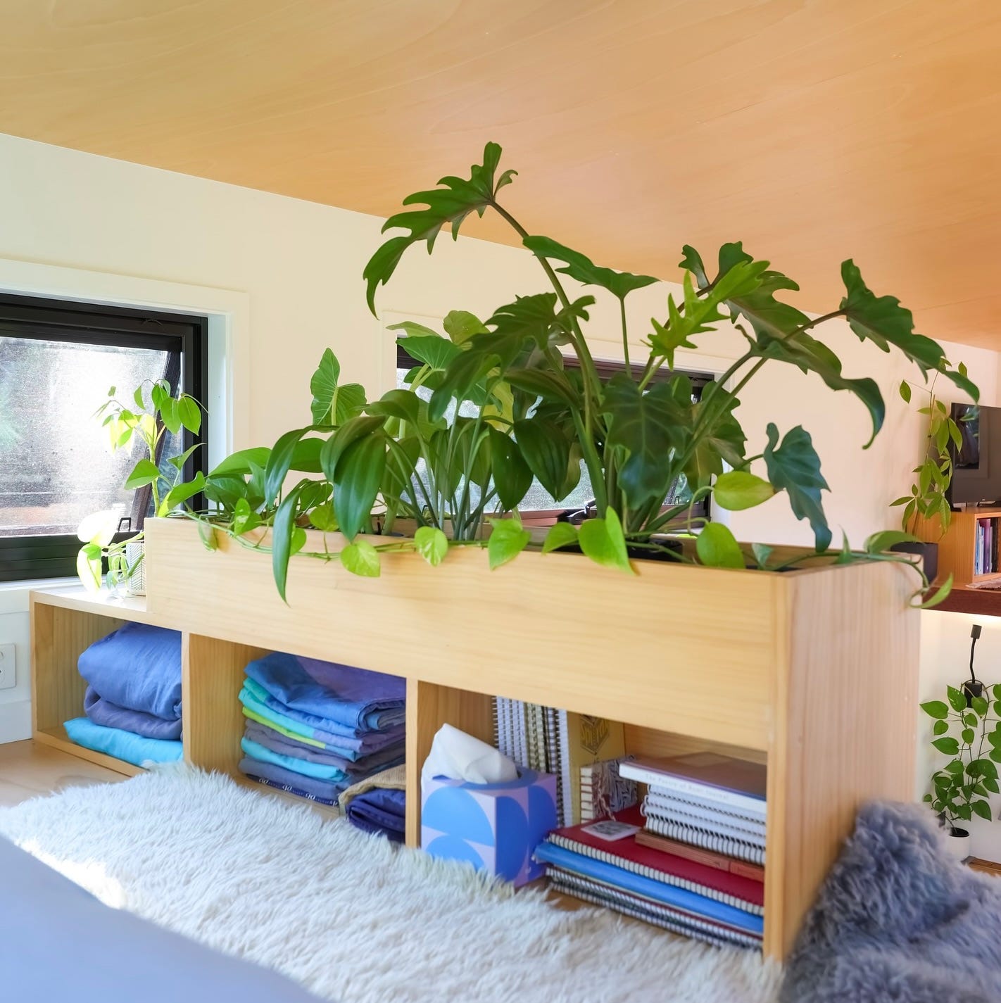 Ich wohne in einem 18 Quadratmeter großen Tiny House – so schaffe ich es, Ordnung zu halten