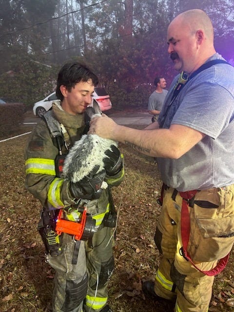 Tallahassee firefighters save rabbit and cat in home blaze