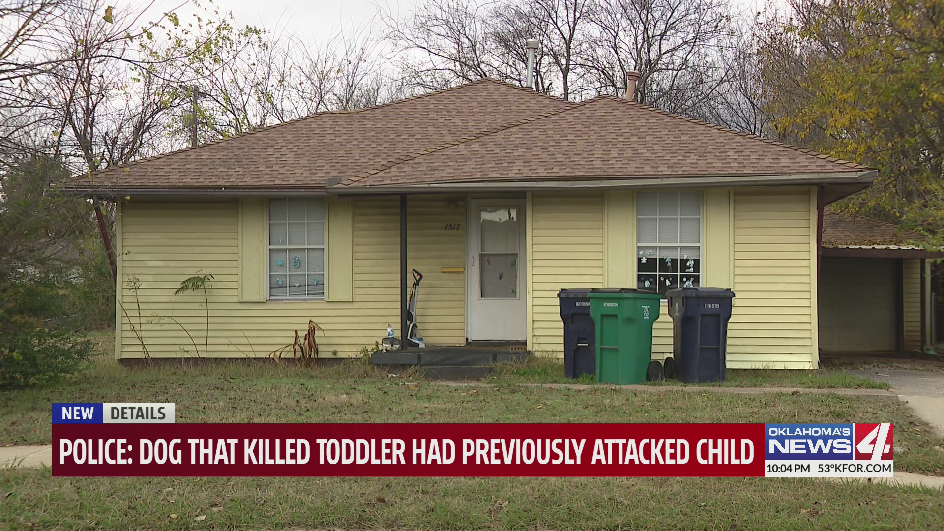 Police say dog that killed toddler had previously attacked child