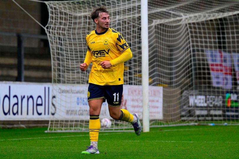 Torquay United 7 Eastbourne Borough 0 - Gulls in rout and stunning win