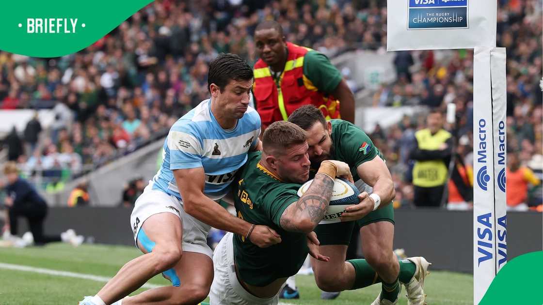 Springbok Hooker Malcolm Marx Wins World Rugby Player of the Year