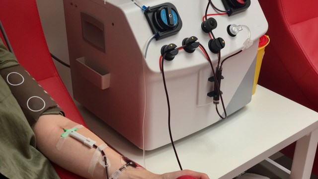 Woman shares firsthand experience after trying controversial 'blood ...