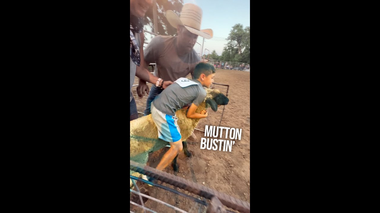 First time mutton bustin'